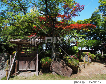 名古屋市・龍泉寺の庭園 名古屋市・龍泉寺の庭園 35204476