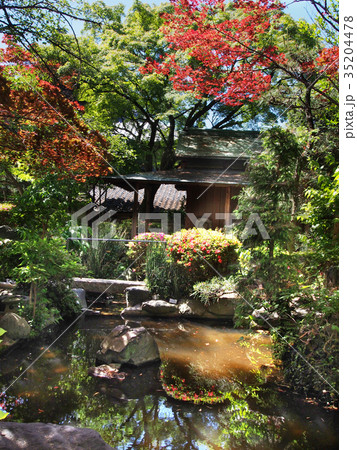 名古屋市・龍泉寺の庭園 名古屋市・龍泉寺の庭園 35204478