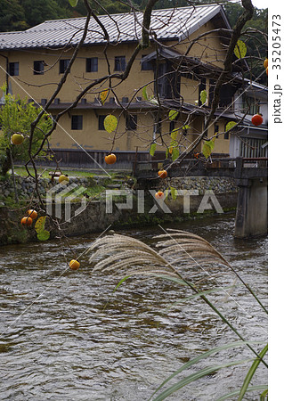 比和川　柿　尾花　醤油蔵　橋 35205473