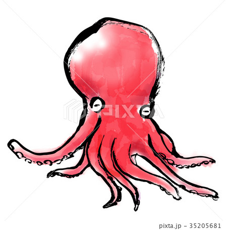筆描き　たこ 35205681