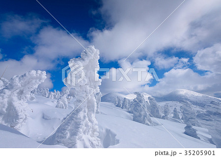 八甲田山の樹氷 35205901