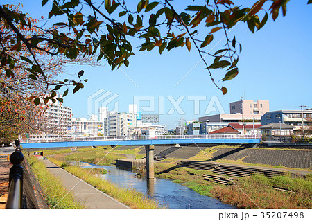 横浜市戸塚区　戸塚駅周辺　柏尾川河川敷　遊歩道 35207498
