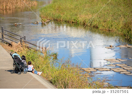 横浜市戸塚区　戸塚駅周辺　柏尾川河川敷　遊歩道 35207501
