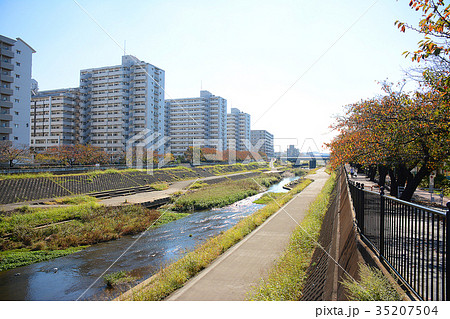 横浜市戸塚区　戸塚駅周辺　柏尾川河川敷　遊歩道 35207504