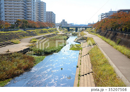 横浜市戸塚区　戸塚駅周辺　柏尾川河川敷　遊歩道 35207508