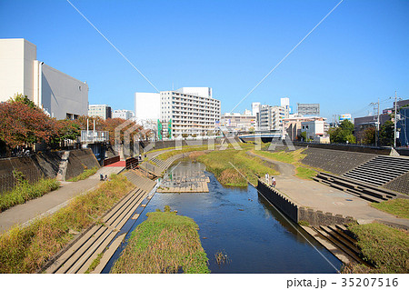 横浜市戸塚区　戸塚駅周辺　柏尾川河川敷　遊歩道 35207516