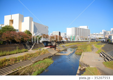 横浜市戸塚区　戸塚駅周辺　柏尾川河川敷　遊歩道 35207553