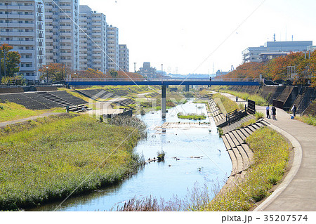 横浜市戸塚区　戸塚駅周辺　柏尾川河川敷　遊歩道 35207574