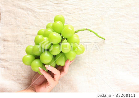 手で持ち上げた高級マスカット 35208111