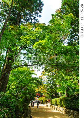 壇上伽藍 高野山 世界遺産 壇上伽藍 高野山 世界遺産 35208206