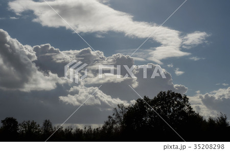 Clouds in the sky with black tree silhouette 35208298
