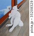 あくびをする縁側の白い猫（油彩画） 35208329