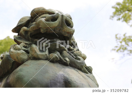生田神社 35209782