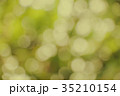green bokeh background 35210154