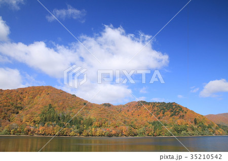 檜原湖畔の紅葉 檜原湖畔の紅葉 35210542