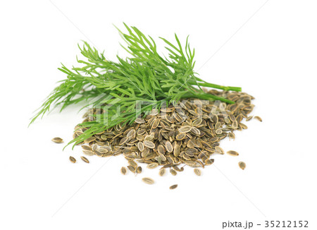 Heap dill seed with fresh dill isolated on white 35212152
