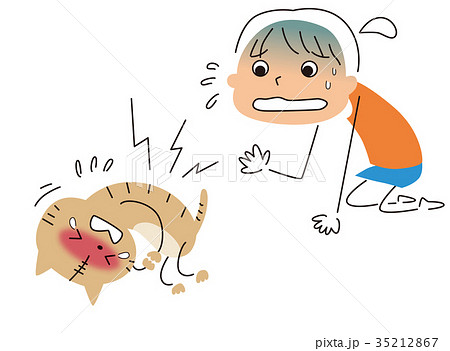 腹痛の猫に驚く女性 35212867