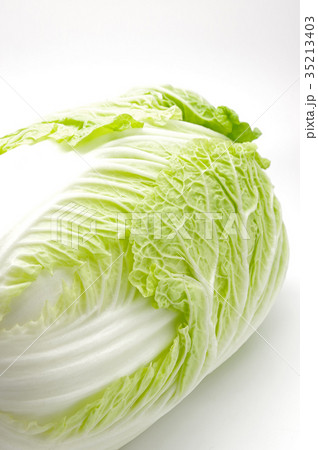 白菜 白菜 35213403