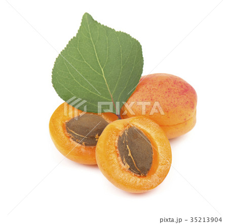 Isolated apricot. Fresh cut apricot fruits 35213904