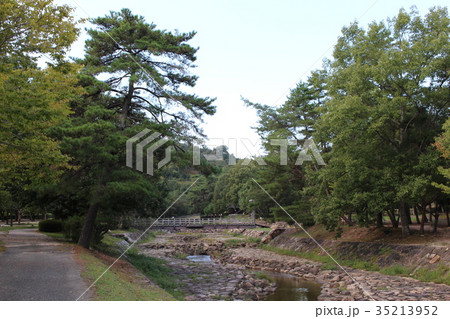 砂川公園の風景 35213952
