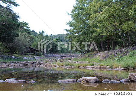 砂川公園の風景 砂川公園の風景 35213955
