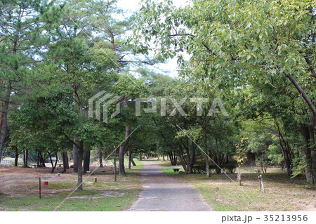砂川公園の風景 35213956