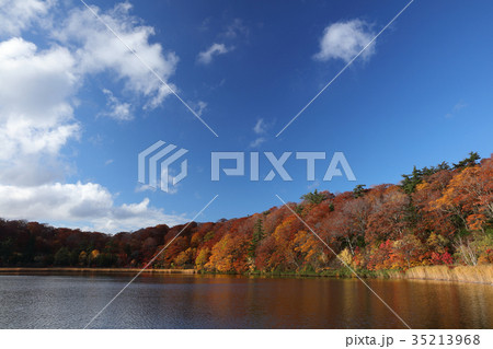八幡平 大沼湖畔 紅葉 風景 八幡平 大沼湖畔 紅葉 風景 35213968