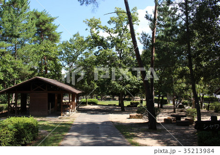 砂川公園の風景 35213984