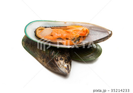 large mussels isolated 35214233