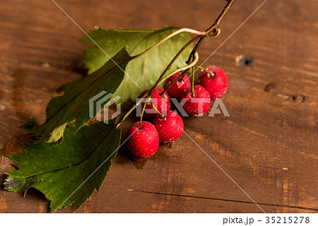 Studio shot hawthorn berries on wooden background 35215278
