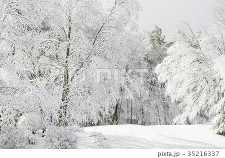 雪景色の写真素材 [35216337] - PIXTA