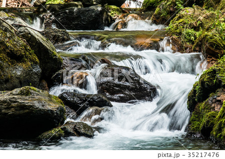 渓流　京都市右京区嵯峨を流れる水尾川　 35217476