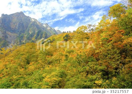 紅葉と岩壁 紅葉と岩壁 35217557
