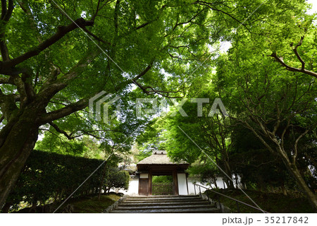 安楽寺　山門 35217842