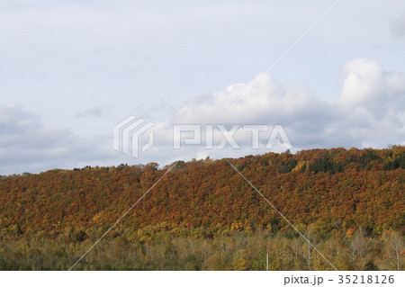 旭岳　紅葉 35218126