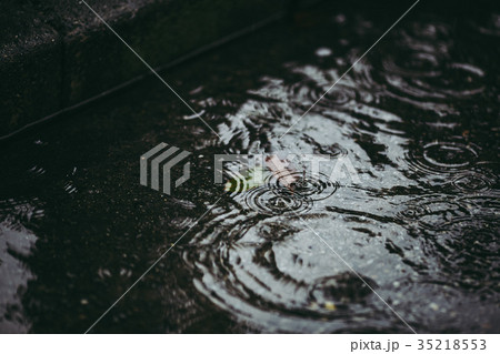 水溜り 雨の写真素材