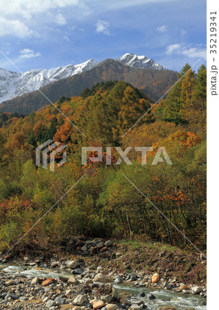 鹿島槍ヶ岳山麓 大谷原の秋 鹿島槍ヶ岳山麓 大谷原の秋 35219341