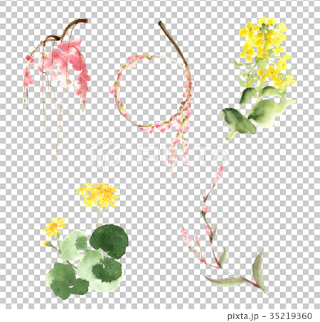 Five flowers 35219360