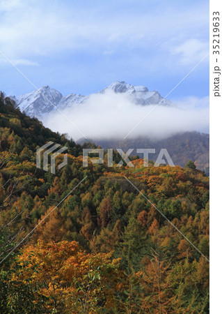 北アルプス山麓　大谷原の秋　三段染の紅葉 35219633