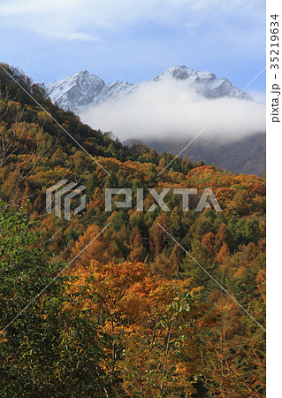 北アルプス山麓 大谷原の秋 三段染の紅葉 北アルプス山麓 大谷原の秋 三段染の紅葉 35219634