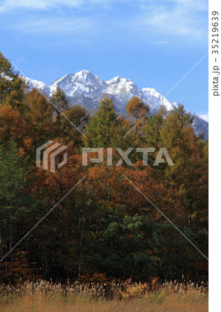 北アルプス山麓　大谷原の秋　三段染の紅葉 35219639