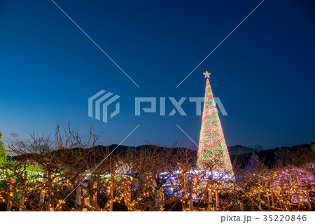 あしかがフラワーパークのイルミネーション 35220846