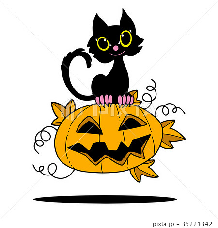 Illustration of Halloween kitten and pumpkin Illustration of Halloween kitten and pumpkin 35221342