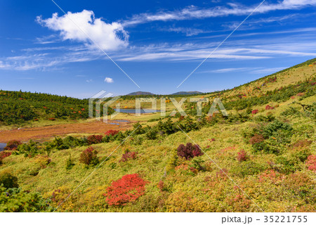 秋の鎌沼 秋の鎌沼 35221755
