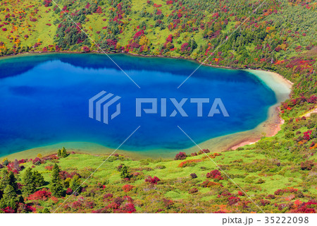 秋の魔女の瞳 35222098