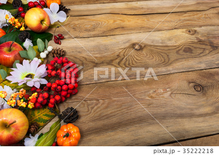 Thanksgiving background with rowan and white daisy Thanksgiving background with rowan and white daisy 35222218