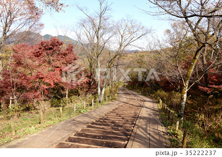 弘法山公園  ハイキング  35222237