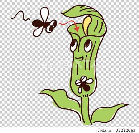 Illustration Of Carnivorous Plant Stock Illustration