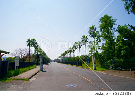 鹿屋航空基地 鹿屋航空基地 35223888