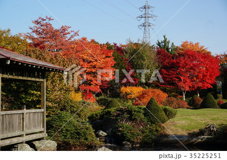 平岡樹芸センターの紅葉 平岡樹芸センターの紅葉 35225251